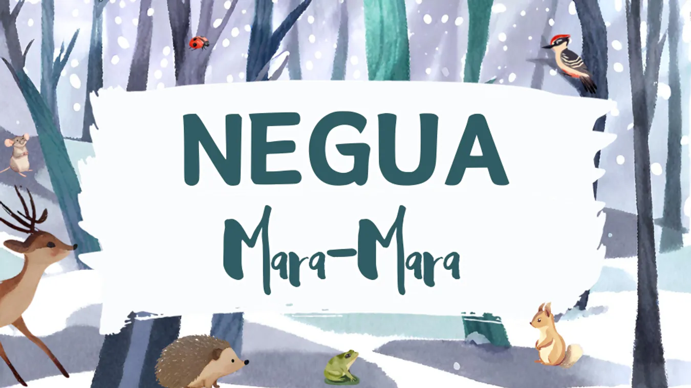 ❄️ NEGUA ❄️