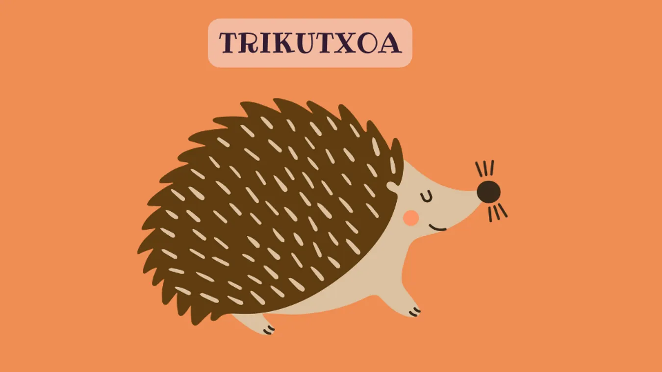 TRIKUTXOA